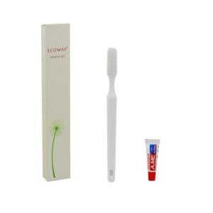 Dental Kit, ECOWAY (250/CTN)