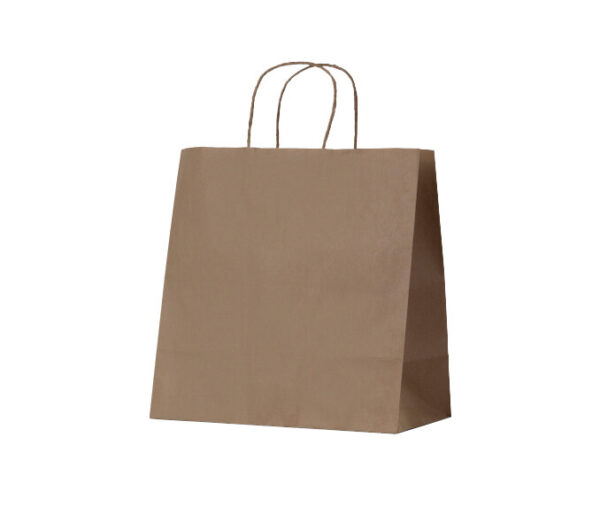 Takeaway Paper Carry Bag Twist Handle Medium (250/Carton)