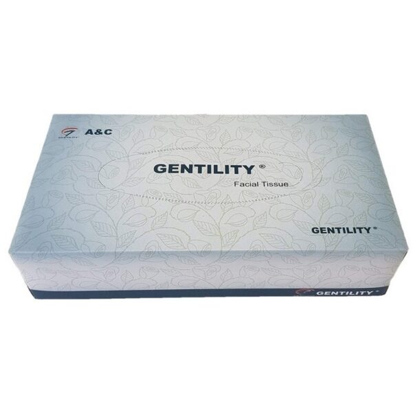 Facial Tissues 2Ply 180 Sheets (32/Carton)