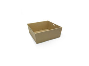 Brown Kraft Catering Tray, SQUARE SMALL (100/CTN)