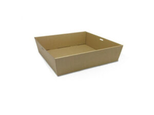 Brown Kraft Catering Tray, SQUARE LARGE (100/CTN)