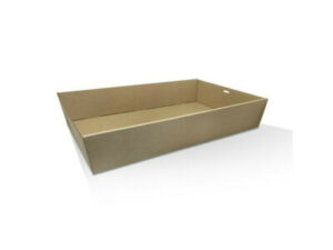 Brown Kraft Catering Tray, MEDIUM PLUS (50/CTN)