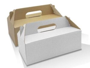 Brown/White Kraft Corrugated Carry Box, SMALL (100/CTN)