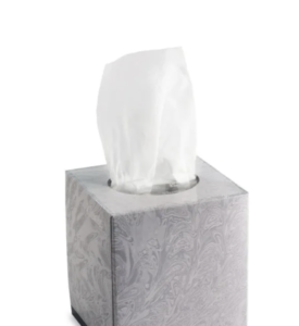 Facial Tissues 2ply 100 Sheets, CUBE (36/CTN)
