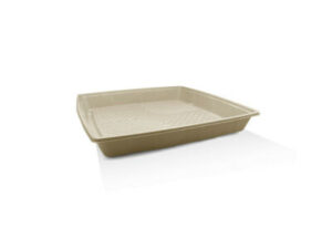 Sugarcane Catering Platter, MEDIUM (100/CTN)