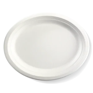 Sugarcane Oval Plate 320x250mm (500/CTN)