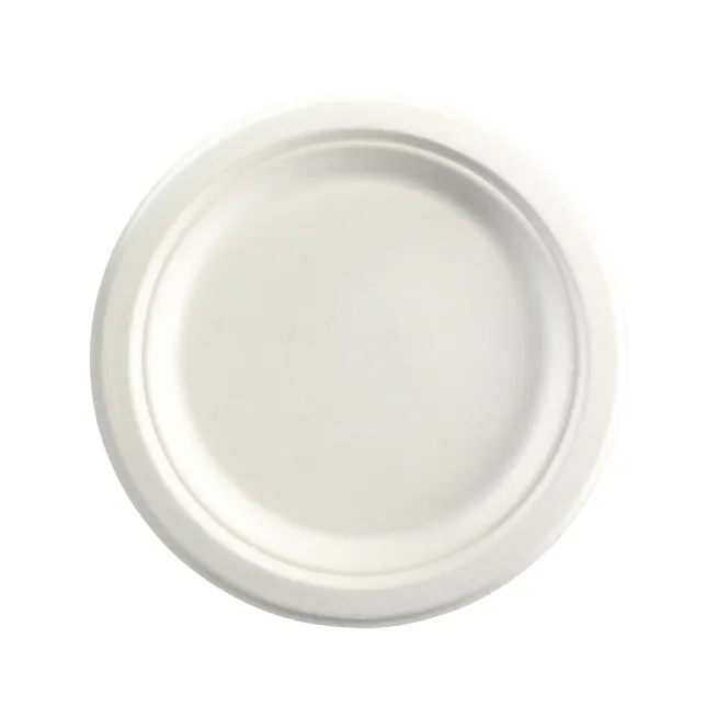 Sugarcane Round Plate 230mm/9" (500/CTN)