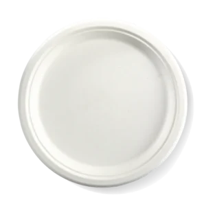 Sugarcane Round Plate 250mm/10" (500/CTN)