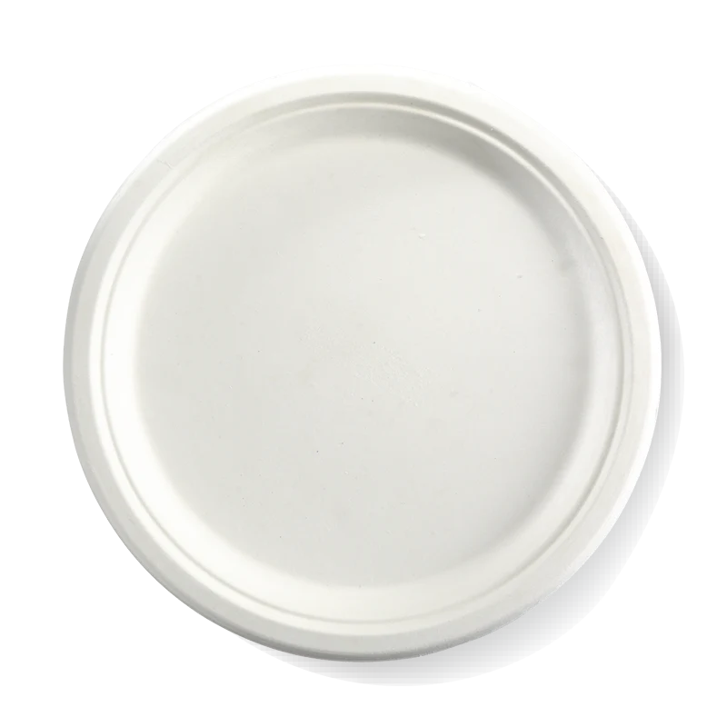Sugarcane Round Plate 250mm/10" (500/CTN)