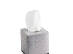 Facial Tissues 2ply 100 Sheets CUBE (36/Carton)