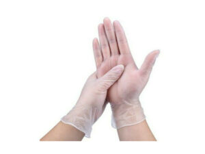 Vinyl Gloves ECOVINYL Powder Free CLEAR, LARGE (100/PCK) (Pack of 10)