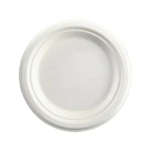 Sugarcane Round Plate 180mm/7" (1000/CTN)