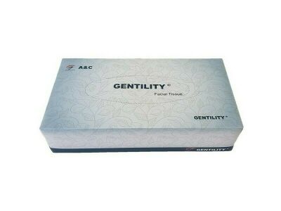 Facial Tissues 2ply 100 Sheets (48/CTN)